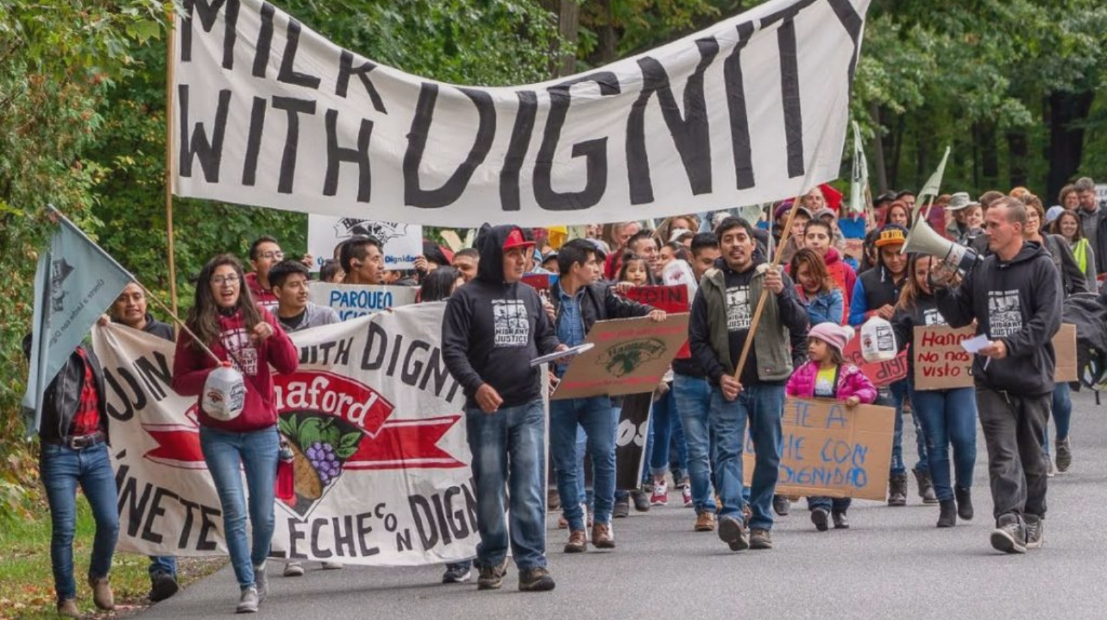 Beyond the NLRB: What Workers Built While Federal Labor Law Collapsed