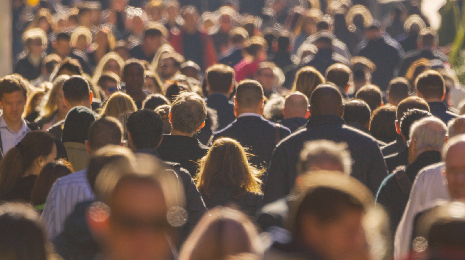 The Safety Net That Follows You: Establishing Protections for Freelance and Gig Workers